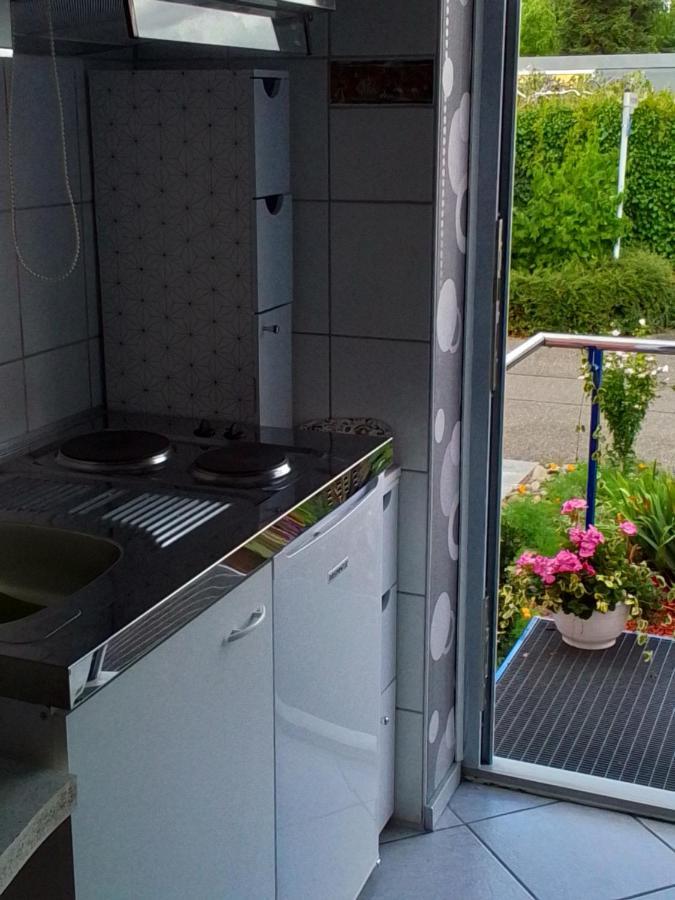 Flat Apartment Offenburg Bagian luar foto